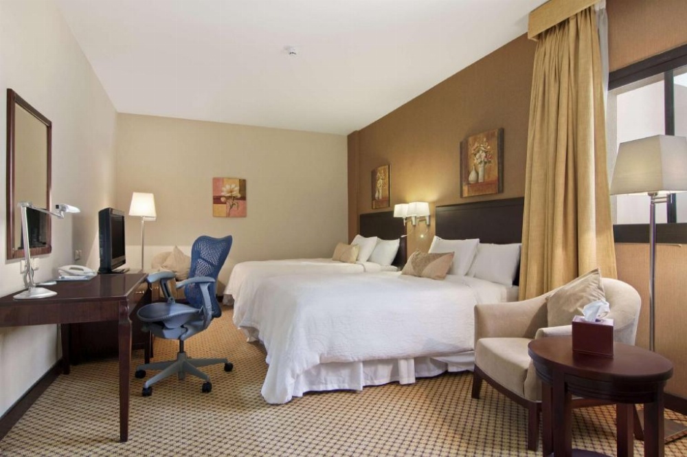 Hilton Garden Inn Riyadh Olaya Image 22